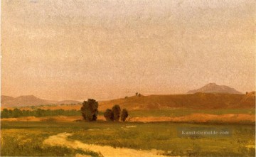  Bierstadt Malerei - Nebraska Auf dem Plains Albert Bier